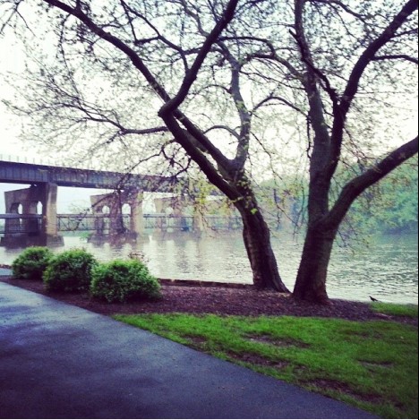 Island Park and UP Bridge - Cindy Shallair